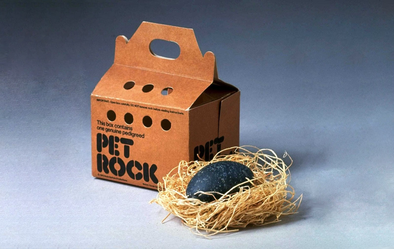 pet rock milionario