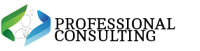professional consulting 3